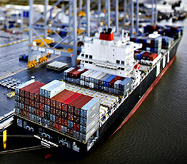 Opening a company website asiauniquecargo